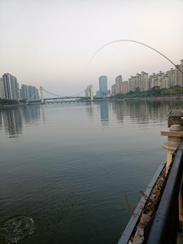 苦守大魚不如改變釣法，說不定也會有驚喜