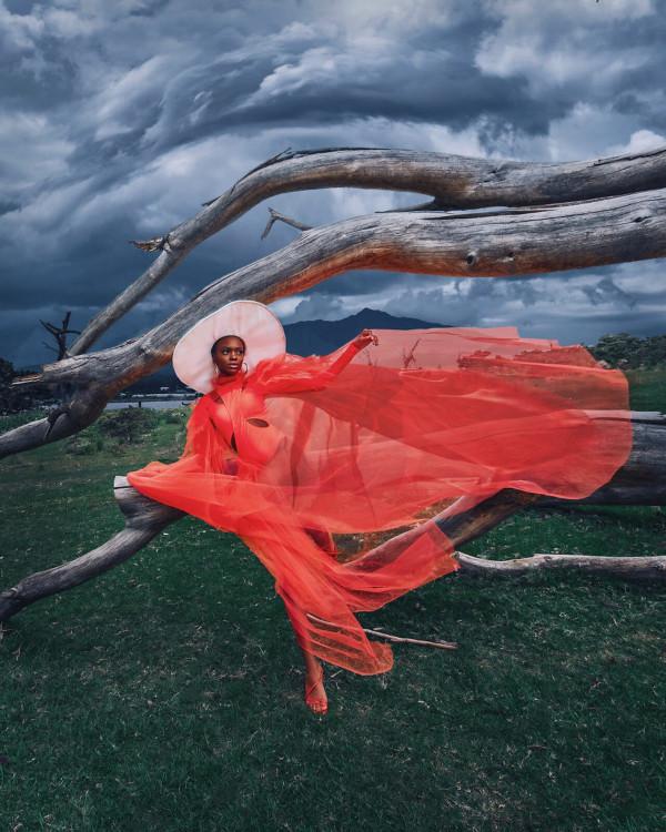 我在肯亞唯一的夢想是看火烈鳥，但我看到的一切都無法形容