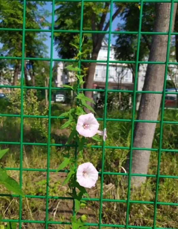 你和你的親兄弟有沒有鬧掰過？