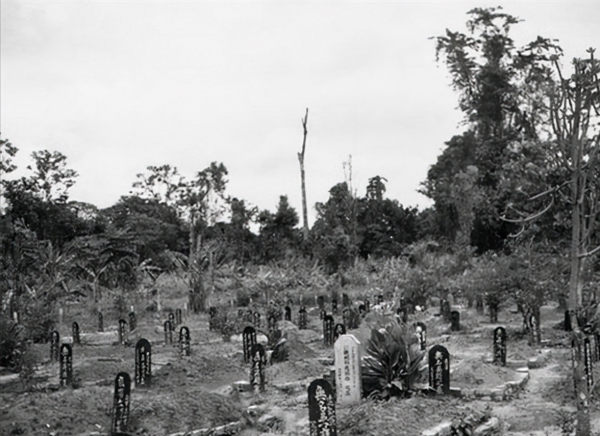 雲南村民採藥中發現多個廢汽油桶,裝滿軍人屍骸,平均年齡僅20歲 雲南村民採藥中發現多個廢汽油桶,裝滿軍人屍骸,平均年齡僅20歲