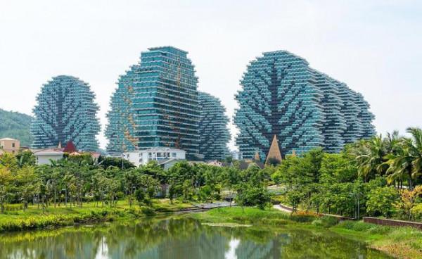 三亞美麗之冠大樹酒店,投資上100億元:住一晚只需要幾十元 三亞美麗之冠大樹酒店,投資上100億元:住一晚只需要幾十元