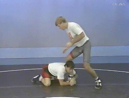 《自由摔跤》看圖學習