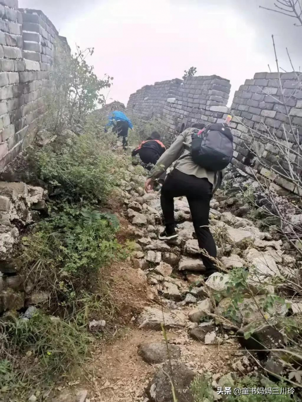 家門口的自然課堂：10個家庭秋色遊戲，好玩得有些意外