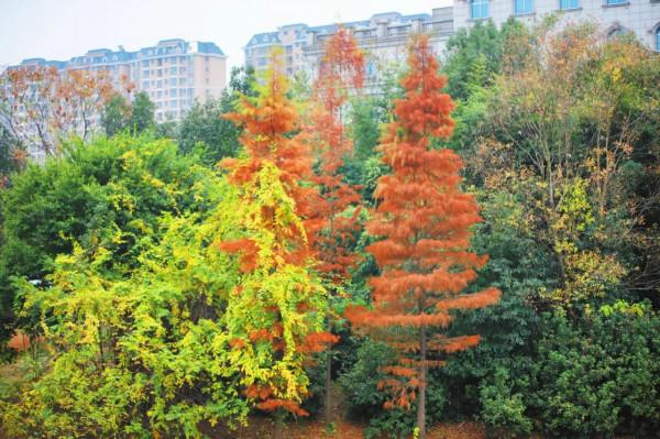 初次體驗ND濾鏡在冬天
