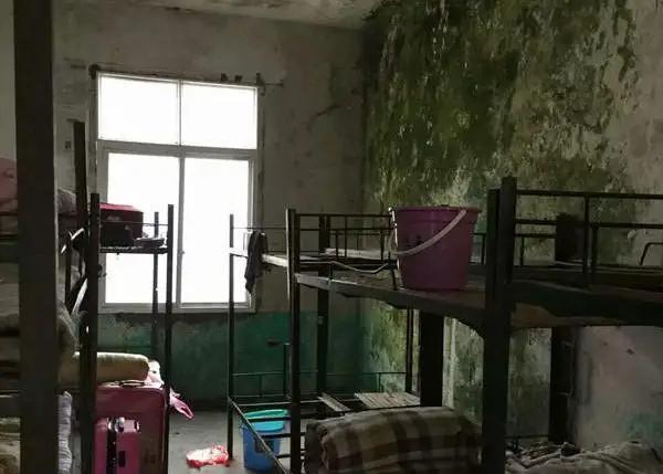 儘量別讓你的孩子住宿舍