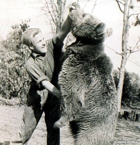 除了警犬，你知道棕熊和貓，也曾是戰場上的一員嗎？