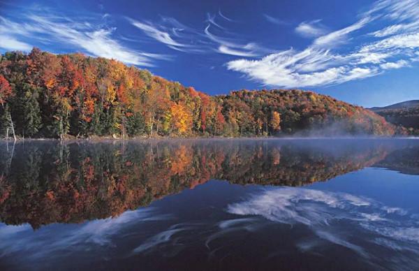 佛蒙特森林風光