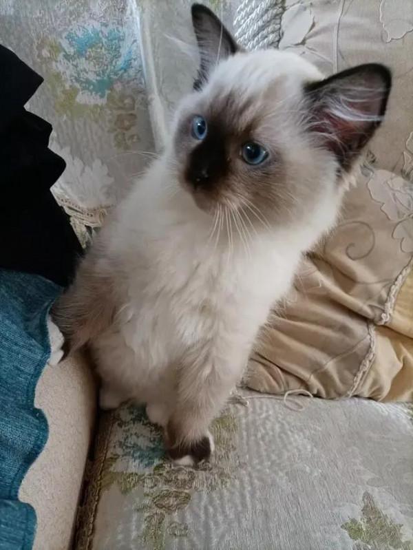 今天分享多種動物‘幼崽’圖片供給大家觀賞 今天分享多種動物‘幼崽’圖片供給大家觀賞