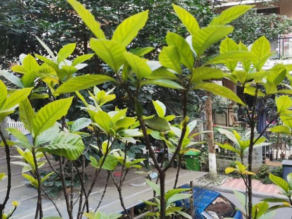 又到冬季，盤點打理一下這方寸間