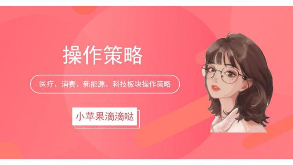 12.22操作帖：新能源車、半導體漲幅居前，今日如何操作？