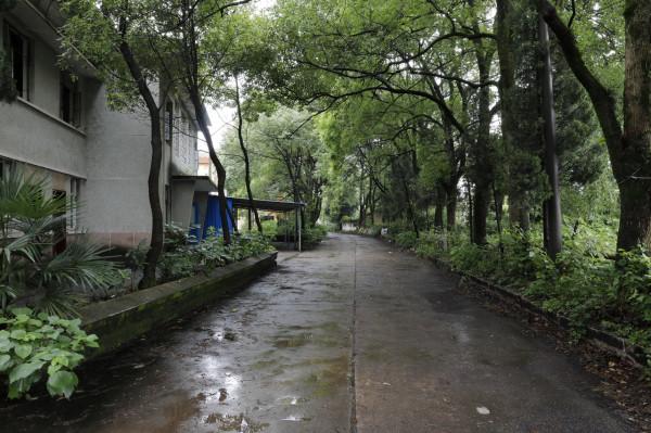 三線系列之35：湖北蒲圻紡織總廠，第3110工廠，蒲紡集團