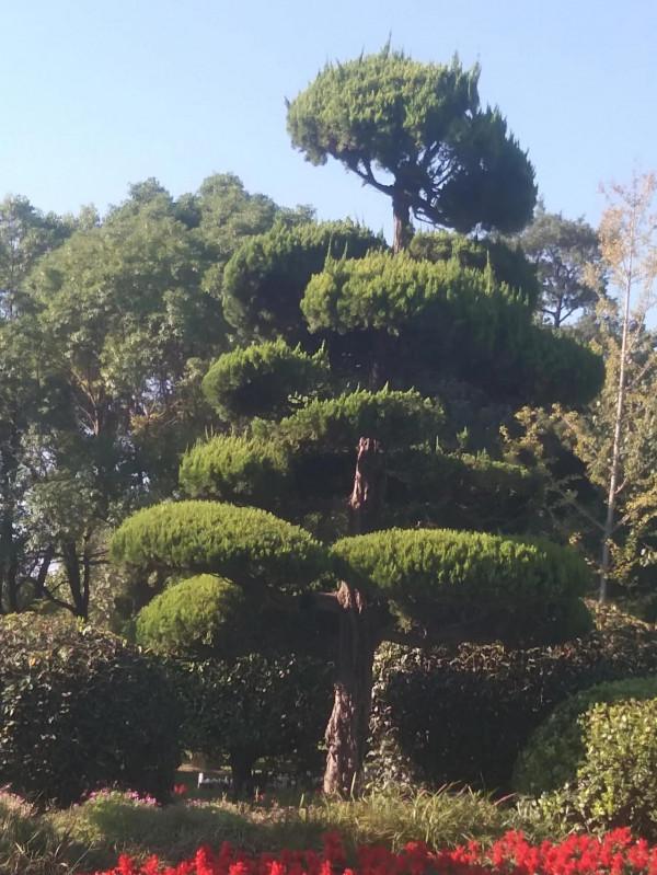 雲龍湖公園一日遊