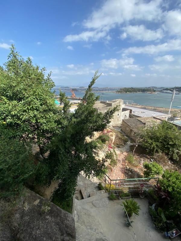 回老家買個帶院子的房子（二）