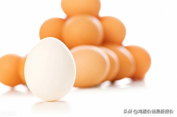 雞蛋:需求下降,產能不多 雞蛋:需求下降,產能不多