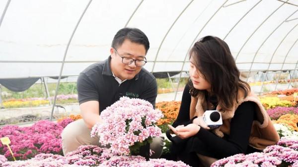 長三角第一次，就在崇明