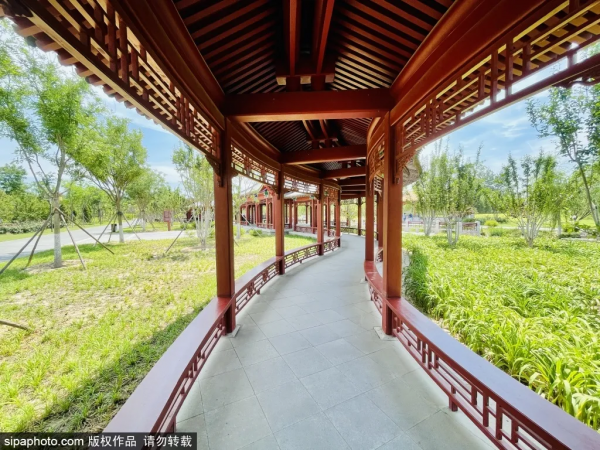 免費！北京這座“巨無霸”公園清涼宜人，被稱“北方小江南”卻少為人知~