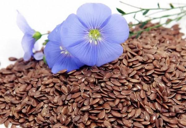 補鈣別隻喝牛奶,這4樣“平價”食材,鈣含量更高,不懂可惜了 補鈣別隻喝牛奶,這4樣“平價”食材,鈣含量更高,不懂可惜了