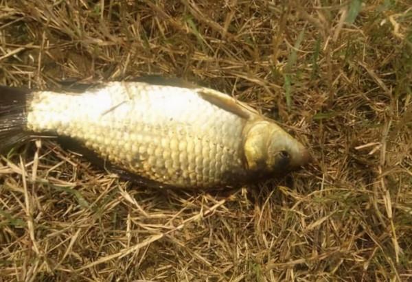 冬天釣魚,這4種晴天不要去,幾乎沒有魚吃鉤 冬天釣魚,這4種晴天不要去,幾乎沒有魚吃鉤