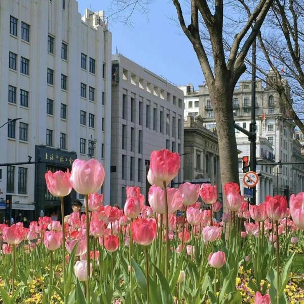 不動腦子一點兒也不開心，而且非常煩躁