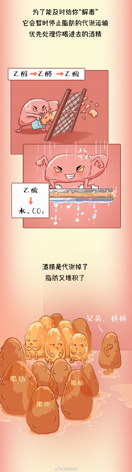 為健康轉存!常見傷肝行為有哪些? 為健康轉存!常見傷肝行為有哪些?