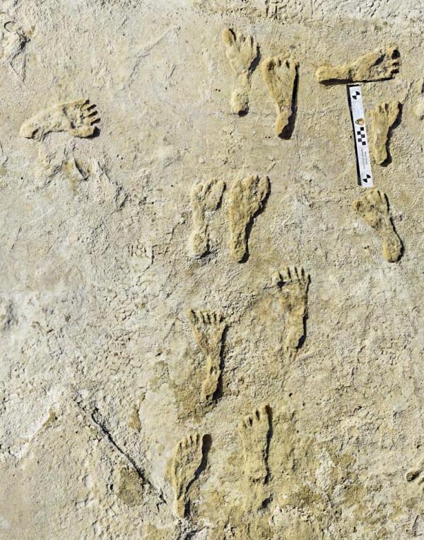 23000 年前的腳印顯示人類可能更早踏上美洲 23000 年前的腳印顯示人類可能更早踏上美洲