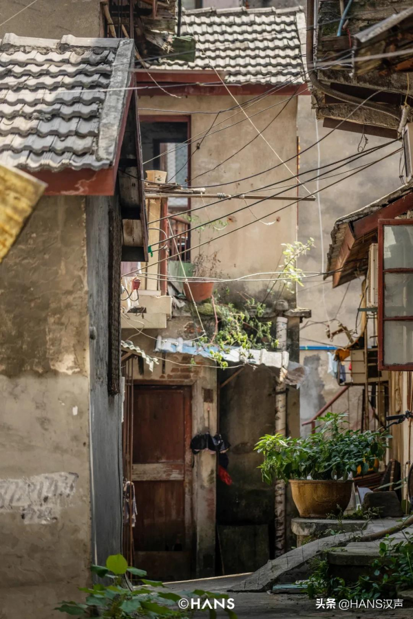 黃鶴樓下的人間煙火，蛇山上的神奇武昌