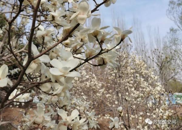 類風溼關節炎輔助治療方法之飲食篇 類風溼關節炎輔助治療方法之飲食篇