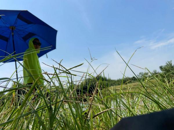 今天秋分，閒暇時光 去釣魚