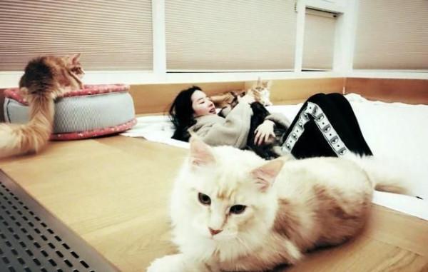 動物世界：從狗生贏家王可可開始，扒一扒各路明星斥巨資養的寵物