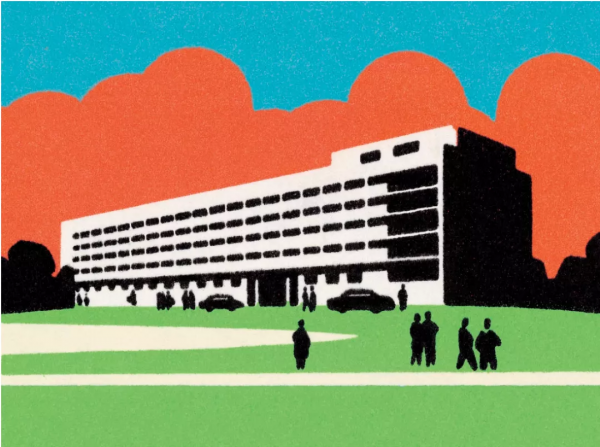 美國名校早申啟示錄：優秀的學生已經夠多了，現在拼的是“有趣”的靈魂