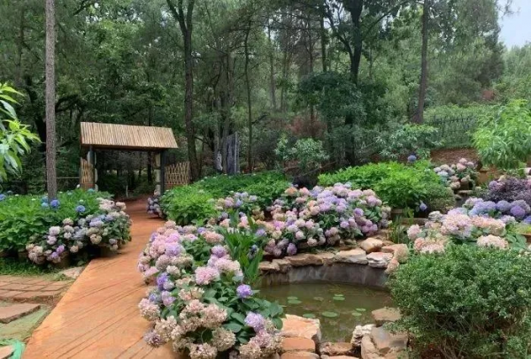 國內6條超驚豔的自駕路線，橫跨東西南北，一路風景賞心悅目