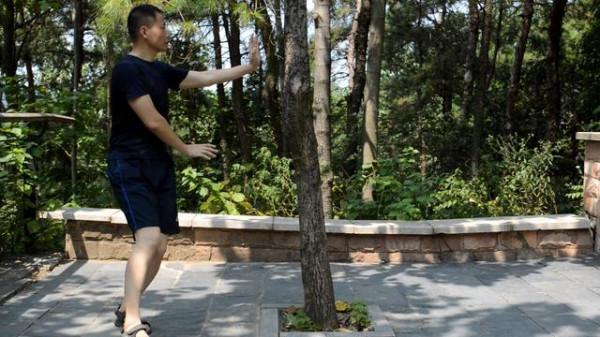 今日隨筆 寫給有緣的你 我在講說拳術的點點滴滴