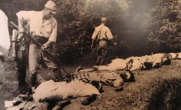 南京大屠殺有多慘?倖存者回憶,野狗吃紅了眼,到處都是哭喊聲 南京大屠殺有多慘?倖存者回憶,野狗吃紅了眼,到處都是哭喊聲