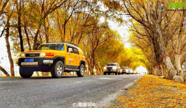 1028名日本人報名遊新疆？新疆顏值實錘了，一年四季，美麗不停歇