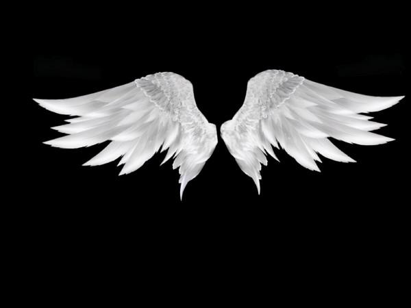 有這種可能嗎？人類不斷地揮動雙手，在100萬年後進化出翅膀