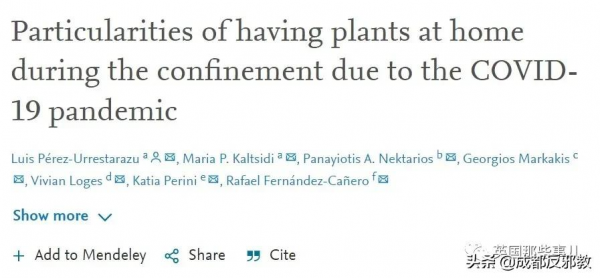 被疫情困太久，歐美年輕人開始瘋狂囤積綠植，借錢都要買？