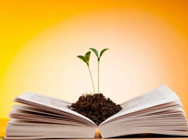 “狼性才女”劉媛媛的逆襲史，6小時帶貨1個億，背後透露了什麼？