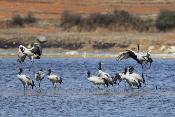 冬季到底哪裡最美？盤點這5個地方，讓你在寒冬也找到出行的樂趣