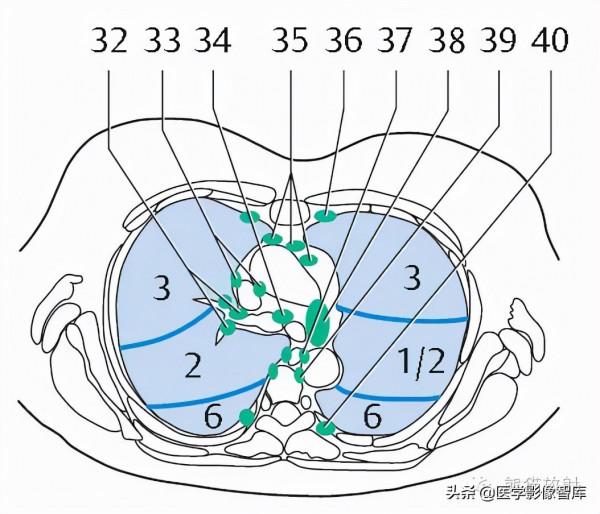 CT斷層解剖圖譜最全總結「推薦收藏」 CT斷層解剖圖譜最全總結「推薦收藏」