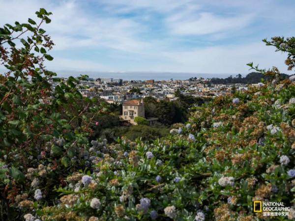 滌盪人心!2021最美旅行照片 滌盪人心!2021最美旅行照片