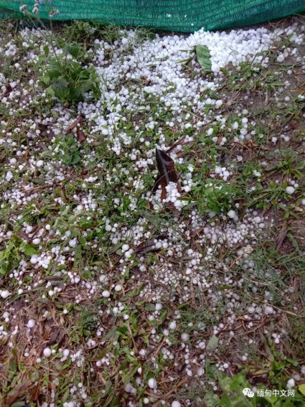 “天氣太反常啦”，極端天氣橫掃緬甸多個省邦