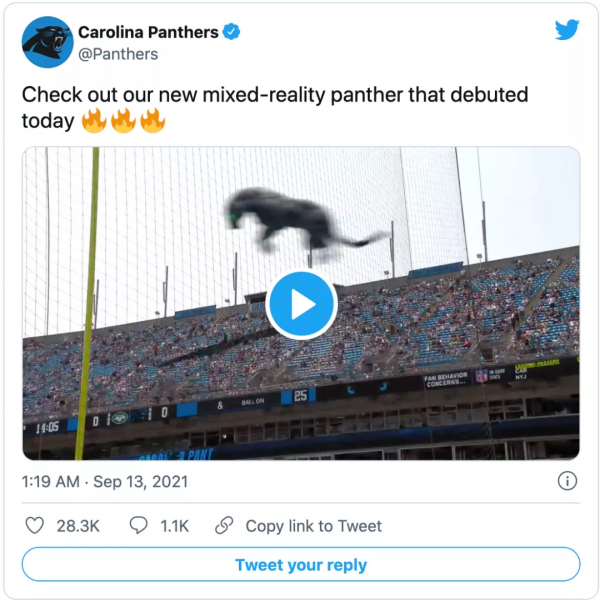 NFL球場驚現黑豹，觀眾都看呆了