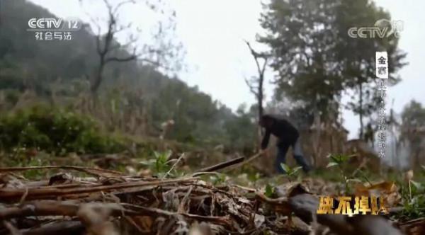 安徽7歲男孩一場大病，母親提出離婚，父親帶2孩獨自撐起一個家