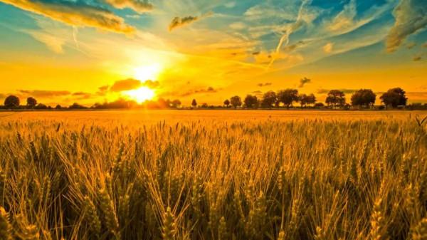 中國秋色正在上演!這9條自駕線,帶你領略不一樣的秋色 中國秋色正在上演!這9條自駕線,帶你領略不一樣的秋色