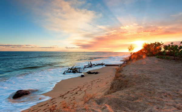 11月22日-28日，好運連連，苦盡甘來生活甜美，好日子迎面來襲