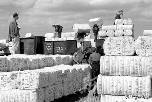 濰坊高密市五十至八十年代老照片