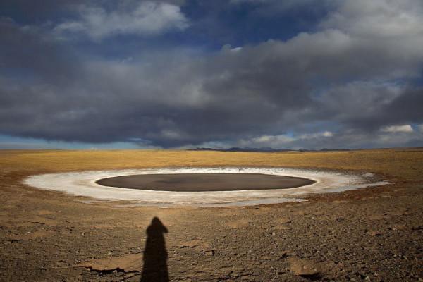 可可西里為啥不允許隨意進入？帶你深度瞭解這一“人類禁區”