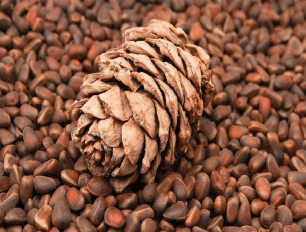 7年前一斤不到10塊，現在翻了5倍，業內人：人工費太高