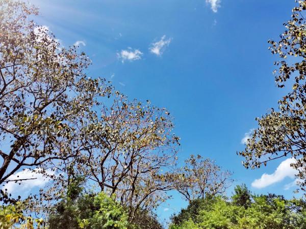 中年人想要來年身體猛如虎，冬至保健是關鍵