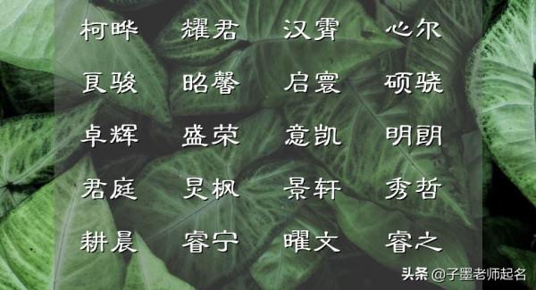 驚豔了時光的男寶寶取名，令人再見心動